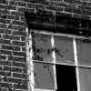 Leaders vs. Entropy bigstock-Old-Window-1676424